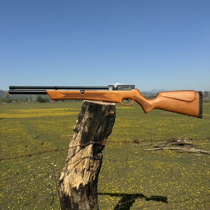 Pcp Letal V2 5.5mm rifle de aire comprimido