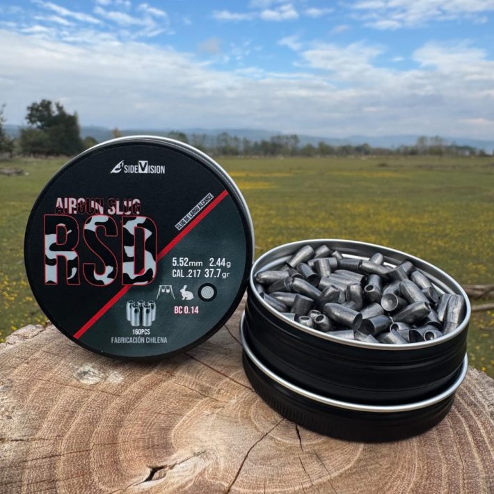 Slug RSD 37.7gr .22 160 unidades