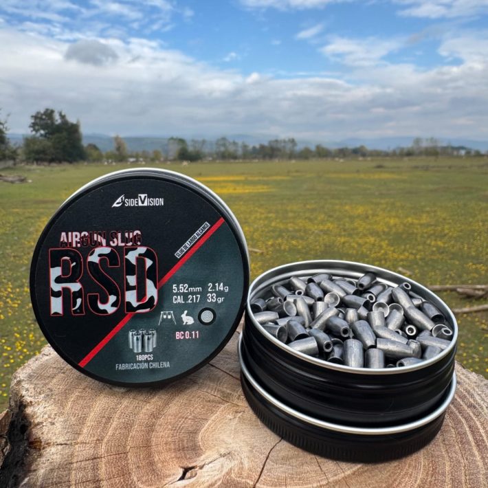 Slug RSD 33gr .22 180 unidades